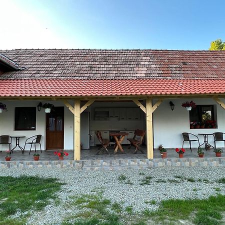 Willa Casa Andrei Cîrţişoara Zewnętrze zdjęcie