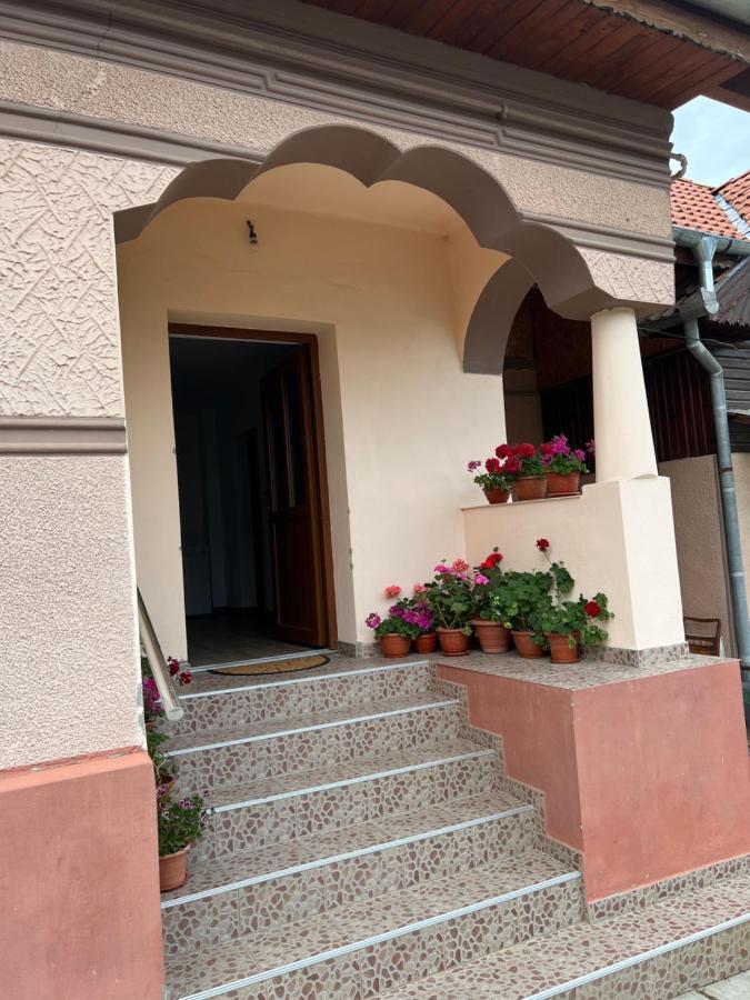 Willa Casa Andrei Cîrţişoara Zewnętrze zdjęcie