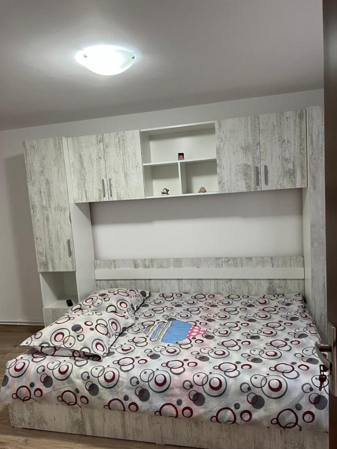 Willa Casa Andrei Cîrţişoara Zewnętrze zdjęcie