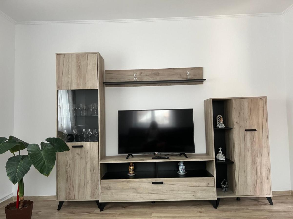 Willa Casa Andrei Cîrţişoara Zewnętrze zdjęcie